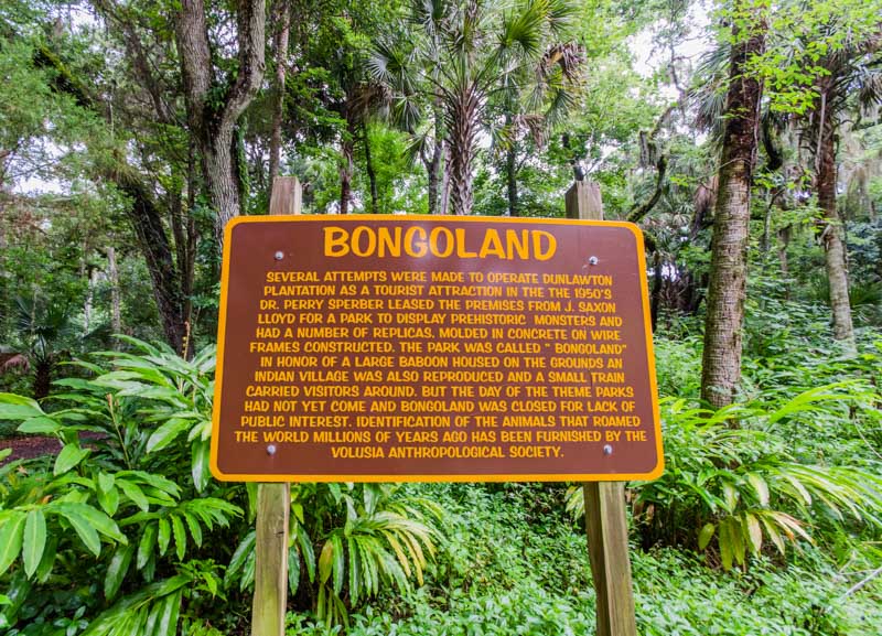 Bongoland Abandoned Florida