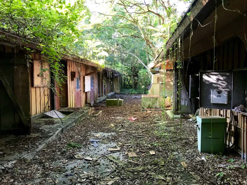 Disney's Discovery Island | Photo © 2018, www.standardstealth.com