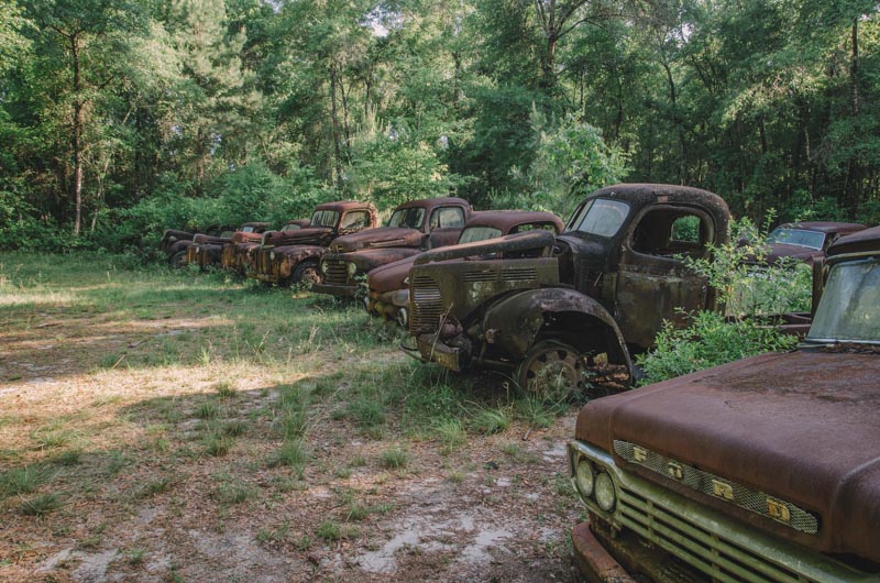 Pat Harvey Ford Truck Collection | Photo © Bullet 2012, www.abandonedfl.com