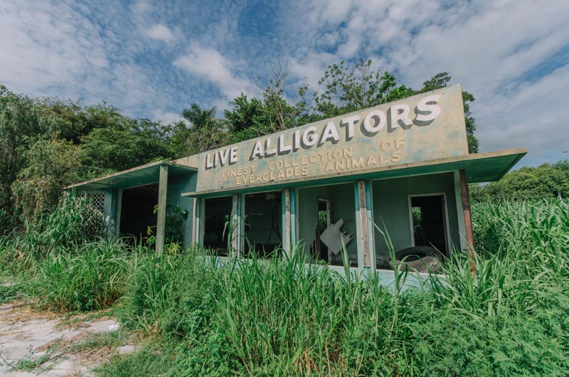 Everglades Gatorland | Photo © 2014 Bullet, www.abandonedfl.com