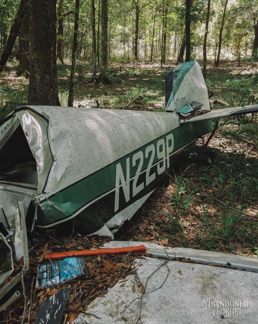 Theodore Weiss Plane Wreckage | Photo © 2017 Bullet, www.abandonedfl.com