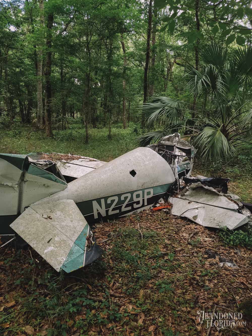 Theodore Weiss Plane Wreckage | Photo © 2017 Bullet, www.abandonedfl.com